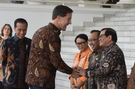Presiden Jokowi dan PM Belanda Kompak Pakai Batik
