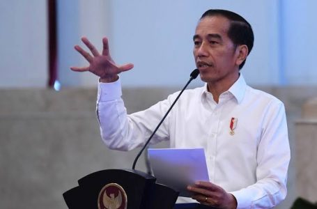 Jokowi Berjanji Akan Cek Lokasi Palapa Ring