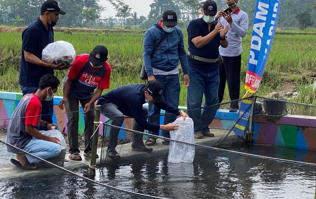 Berdayakan Pemuda, PDAM Pemalang Kembangkan Budidaya Ikan Air Tawar