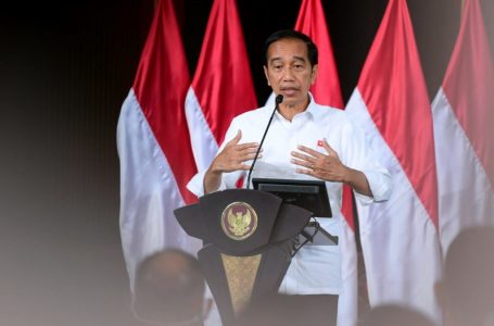 Berikut Arahan Presiden Jokowi Tentang Pencegahan Cacar Monyet di Indonesia