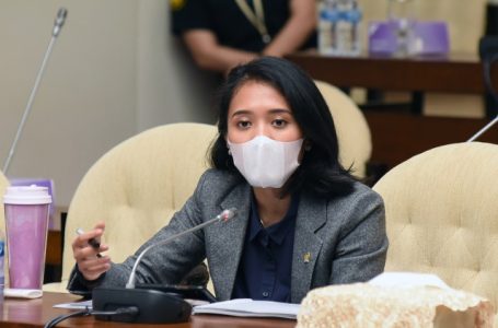 Komisi XI DPR RI Ajak Kepala Desa Semakin Akuntabel Dalam Pengelolaan Dana Desa