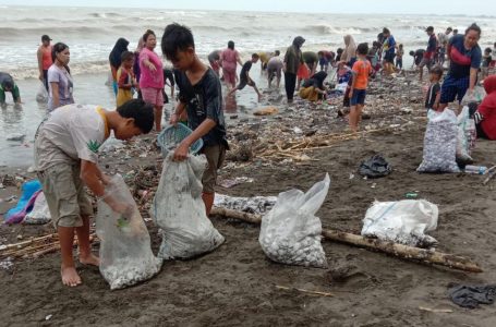 Berebut Puluhan Ribu Kerang Dara, Warga Pesisir Pantai Utara Asemdoyong