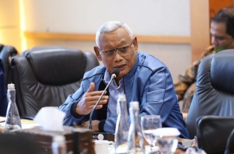 Komisi VI Nilai Pembangunan IKN Nusantara Jadi Era Baru Bagi Bangsa Indonesia