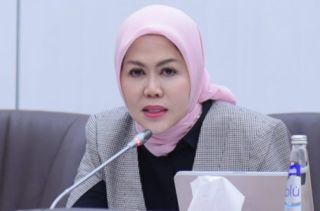 Anggota Komisi VI DPR Dorong PT PLN Kelola Sampah Bantar Gebang Jadi Energi