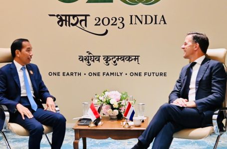 Bertemu PM Belanda, Jokowi Minta Dukungan Pengembangan Teknologi Rendah Karbon
