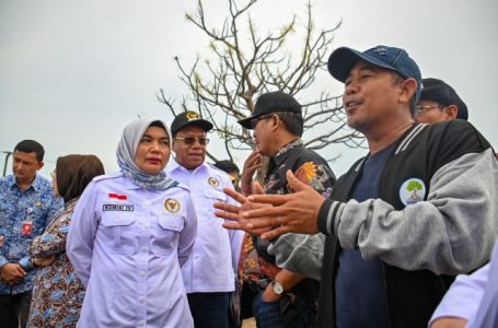 Komisi IV DPR Tinjau Progres Pemulihan Pemeliharaan Tanaman Mengrove di Serang